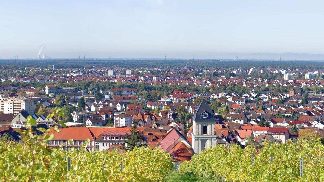 Grosse Ferienwohnung, Apartment In Leimen Wehome Komfort Buitenkant foto