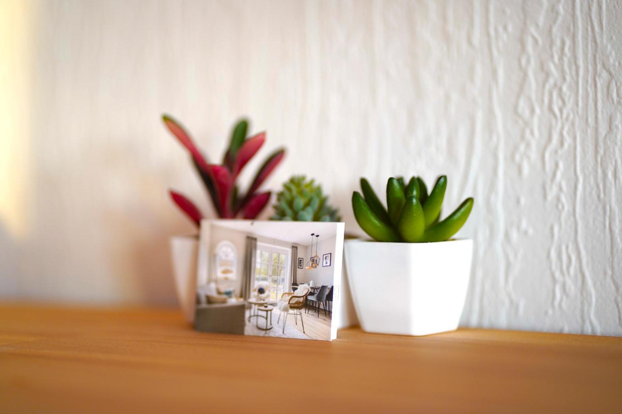Grosse Ferienwohnung, Apartment In Leimen Wehome Komfort Buitenkant foto